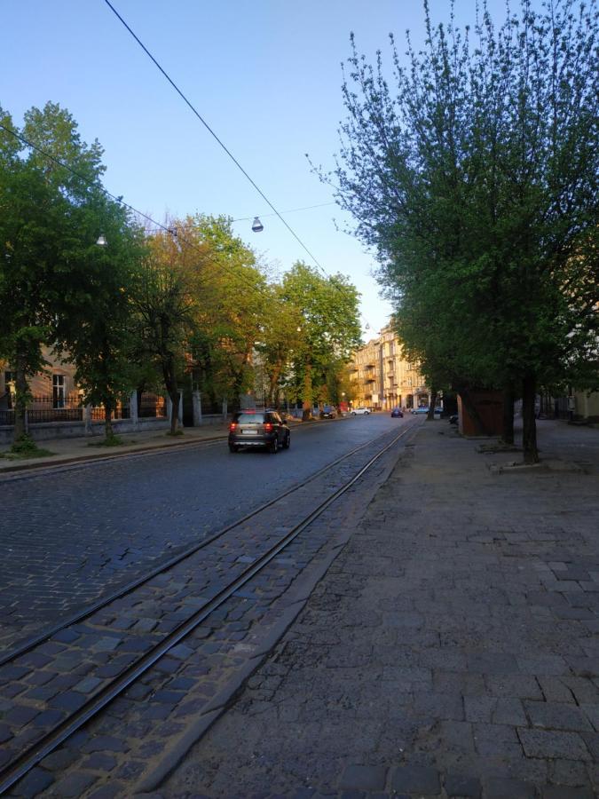 Cozy Studio For Couple Near Polytechnic University Lviv Exterior photo